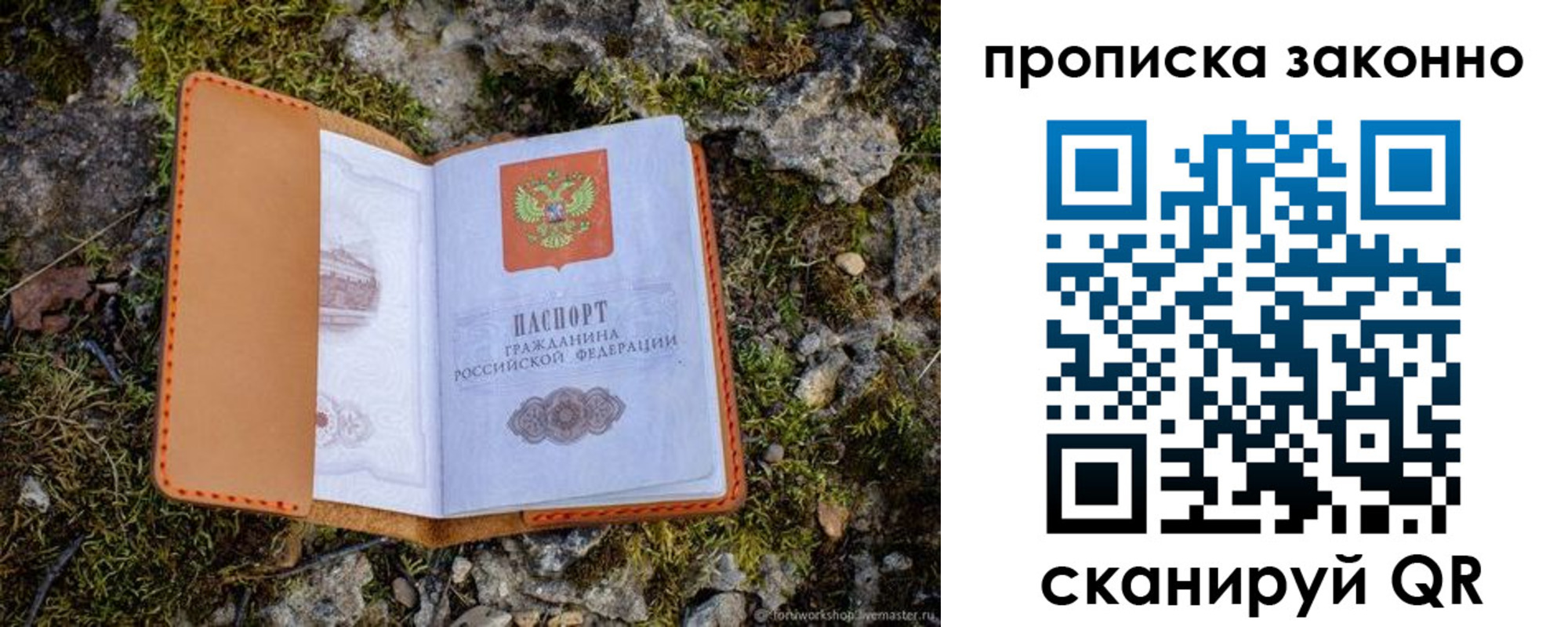 временная регистрация для всех в Мурино