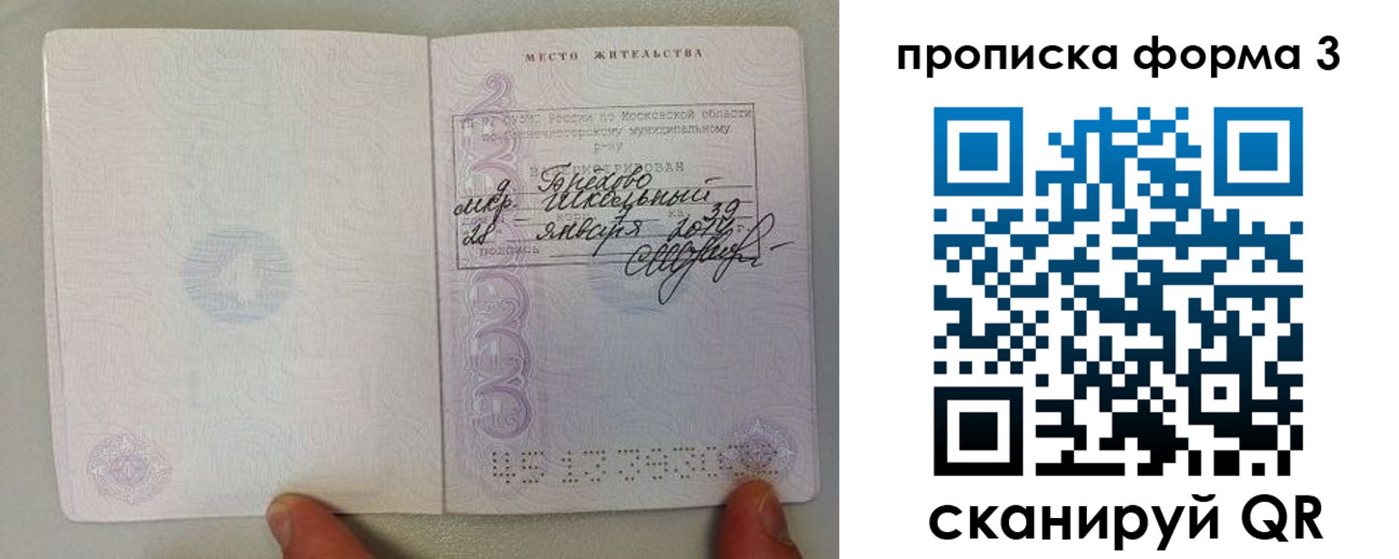 прописка гарантия в Мурино